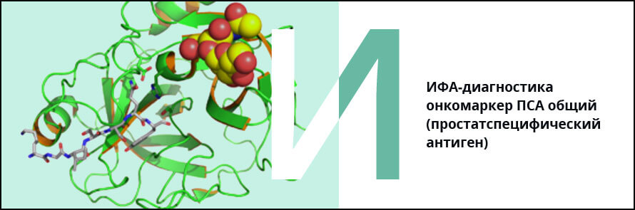 ИФА-диагностика онкомаркер ПСА общий (простатспецифический антиген)