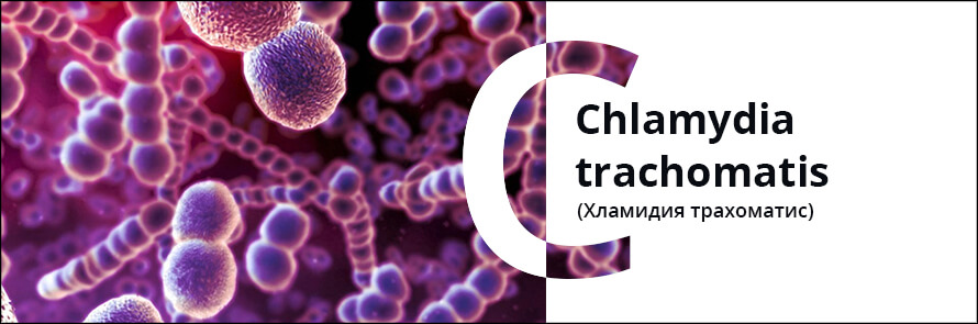 Против хламидий. ПЦР диагностика хламидиоза. ДНК Chlamydia trachomatis. Хламидии трахоматис ПЦР.