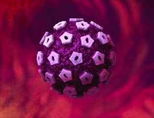 Вирус папилломы человека