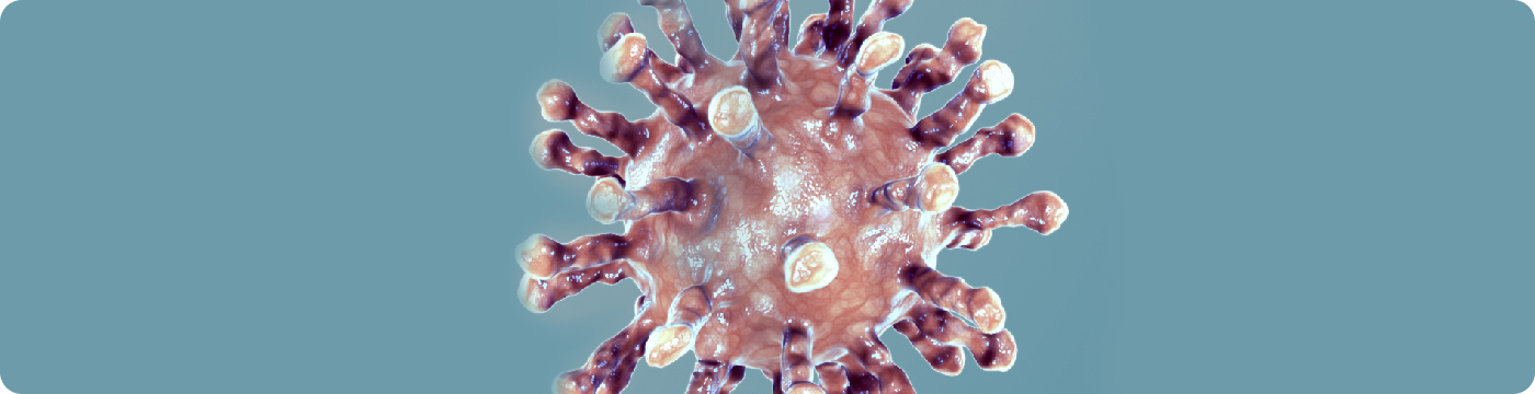 ПЦР-диагнотика вируса гепатита С (определение генотипа)