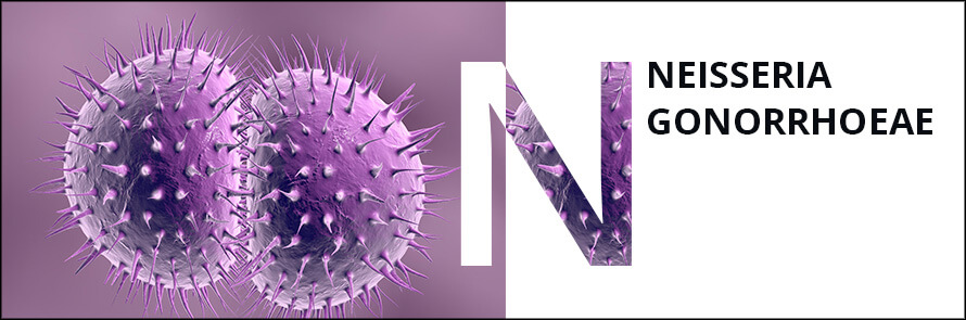 Пцр neisseria gonorrhoeae что это. Смотреть фото Пцр neisseria gonorrhoeae что это. Смотреть картинку Пцр neisseria gonorrhoeae что это. Картинка про Пцр neisseria gonorrhoeae что это. Фото Пцр neisseria gonorrhoeae что это