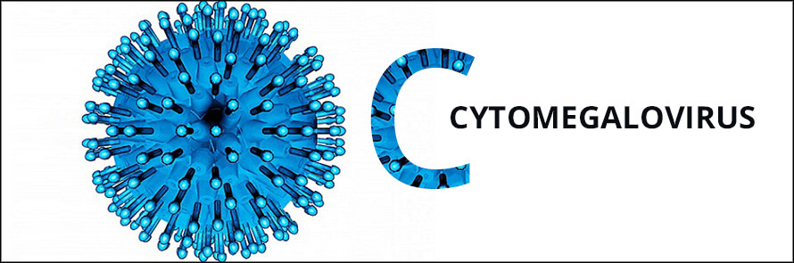 ПЦР-диагностика цитомегаловируса (Cytomegalovirus)