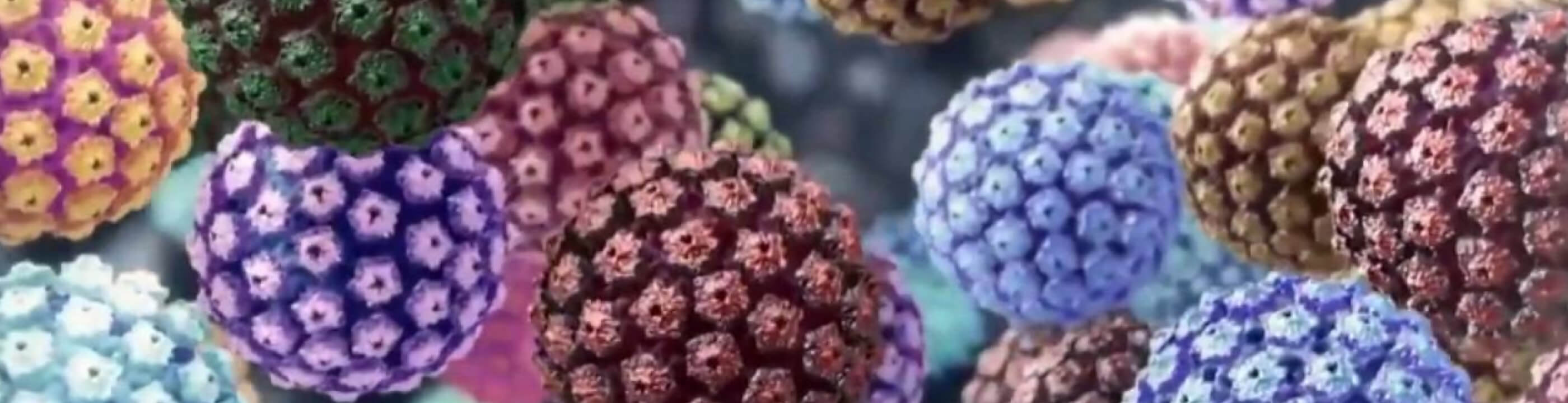 ПЦР-диагностика ВПЧ (вирус папилломы человека,HPV) скрининг 15 типов
