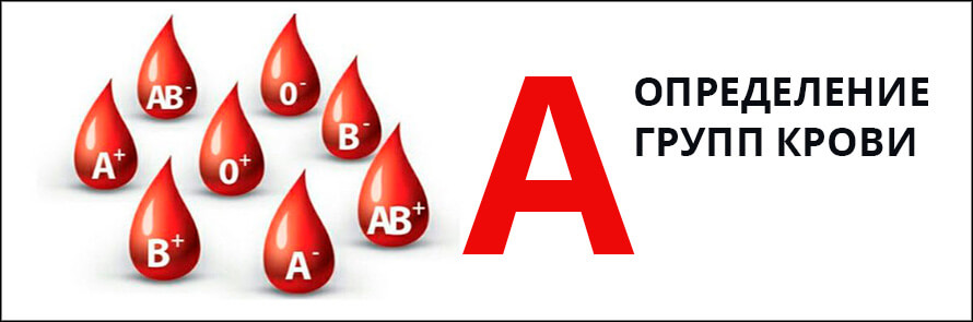 Анализ крови группа крови аво thumbnail