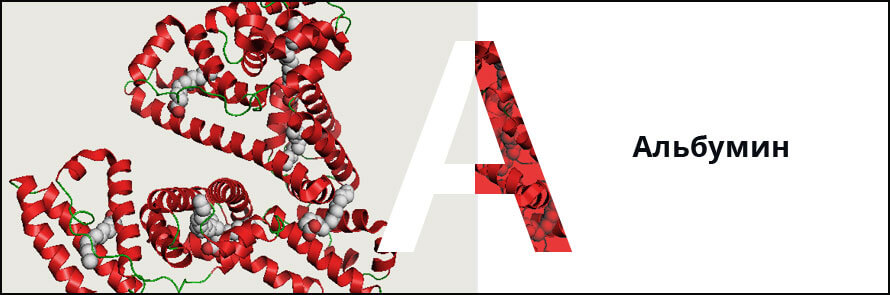 Альбумин сыворотки крови. Альбумин строение белка. Человеческий сывороточный альбумин. Сывороточный альбумин формула.