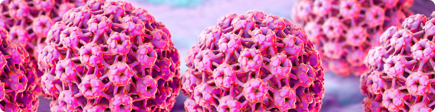 Humán Papillóma Vírus (HPV)