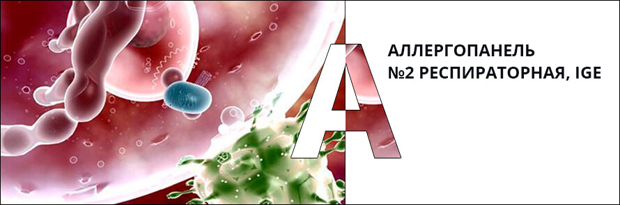 Анализ крови на респираторную аллергологическую панель 2 thumbnail