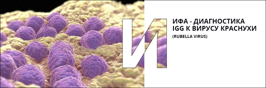 ИФА - диагностика IgG к вирусу краснухи (Rubella virus)